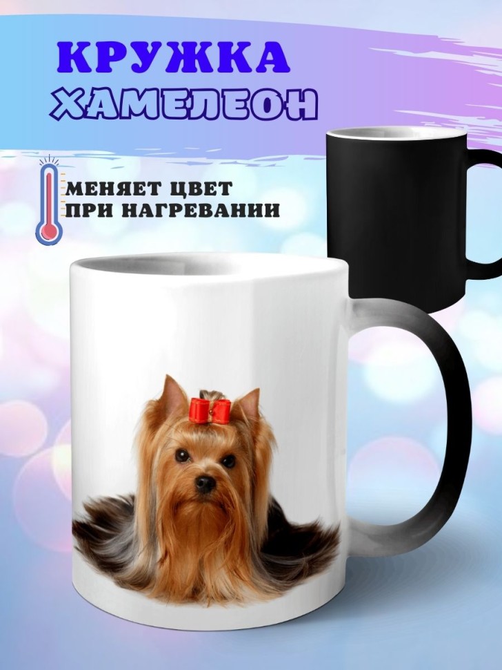 Кружка хамелеон йорк