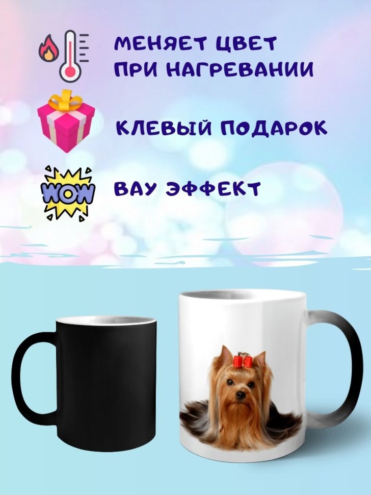Кружка хамелеон йорк