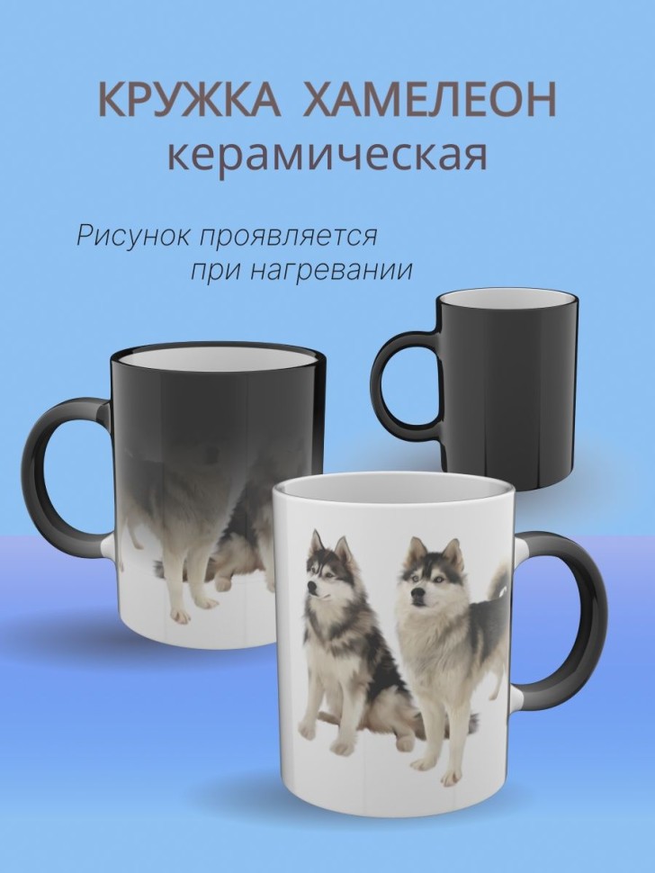 Подарок, кружка хамелеон керамическая с принтом Собаки хаски Подарок, кружка хамелеон керамическая с принтом Собаки хаски