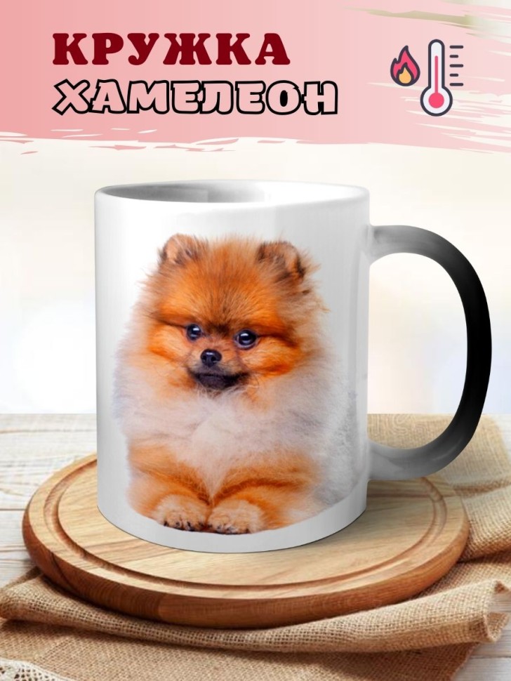 Кружка хамелеон Шпиц
