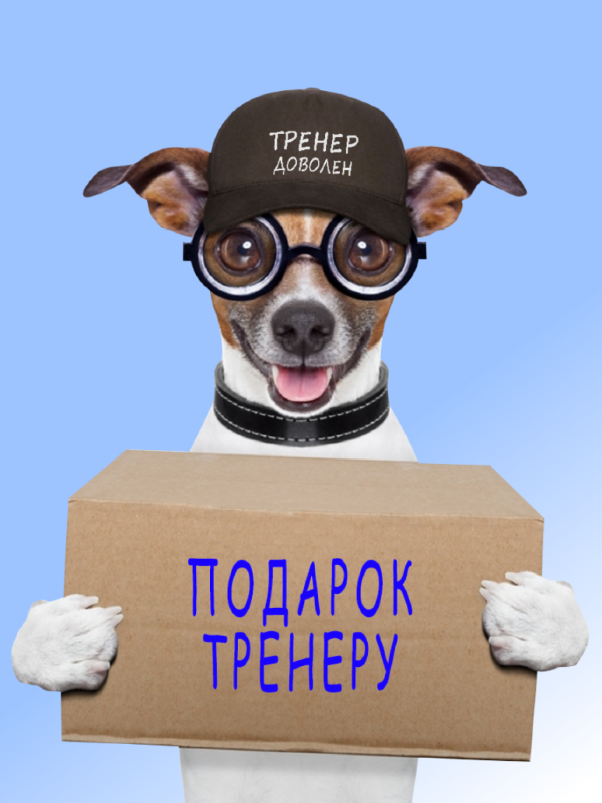 Кепка. Кепка мужская бейсболка. Подарок любимому тренеру.