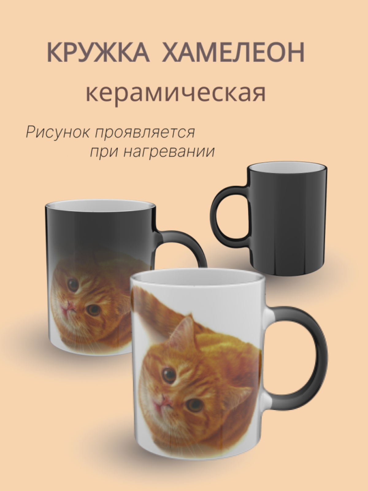 Кружка хамелеон керамическая с рисунком Рыжий кот 