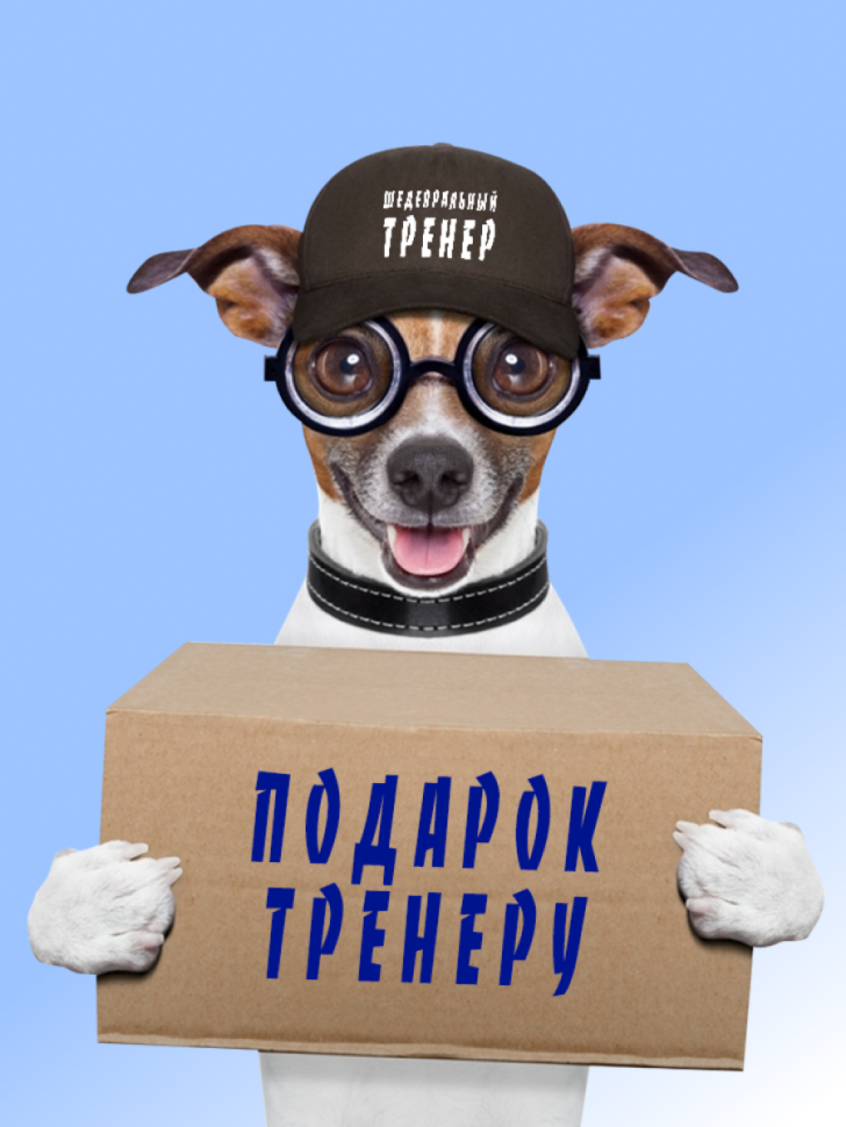 Кепка. Кепка мужская бейсболка. Подарок любимому тренеру.