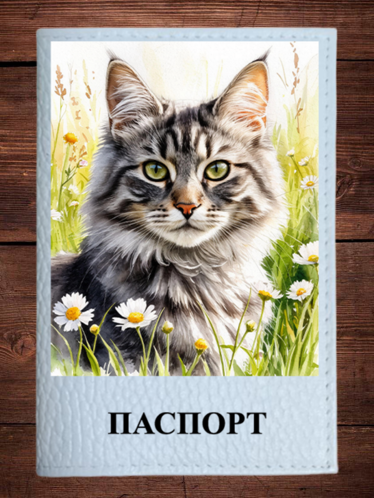 Обложка паспорта с карманами