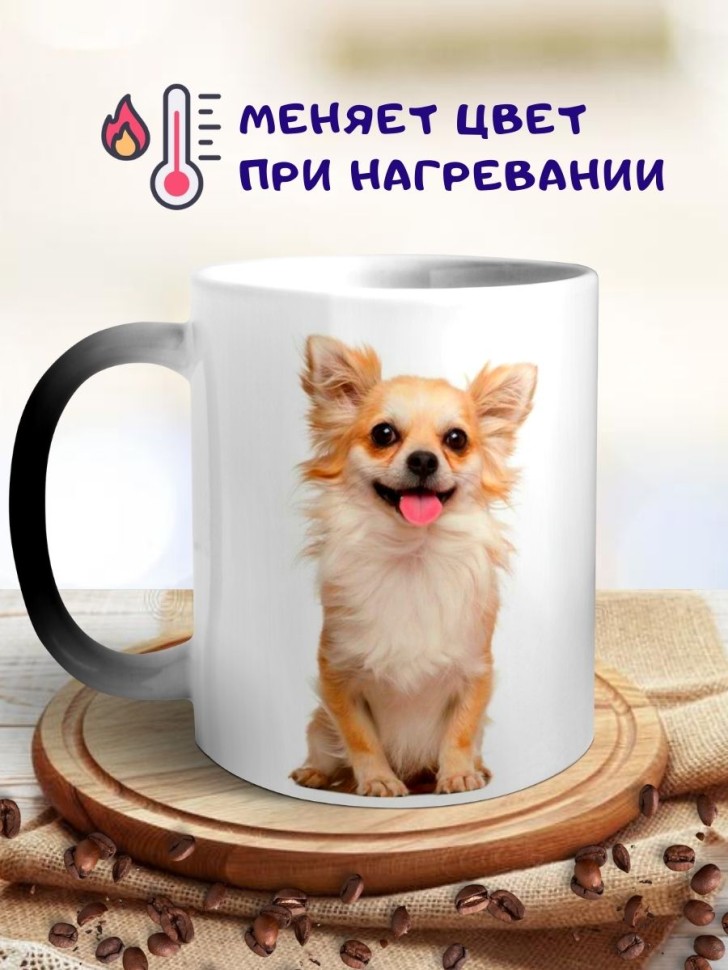 Кружка хамелеон Чихуахуа