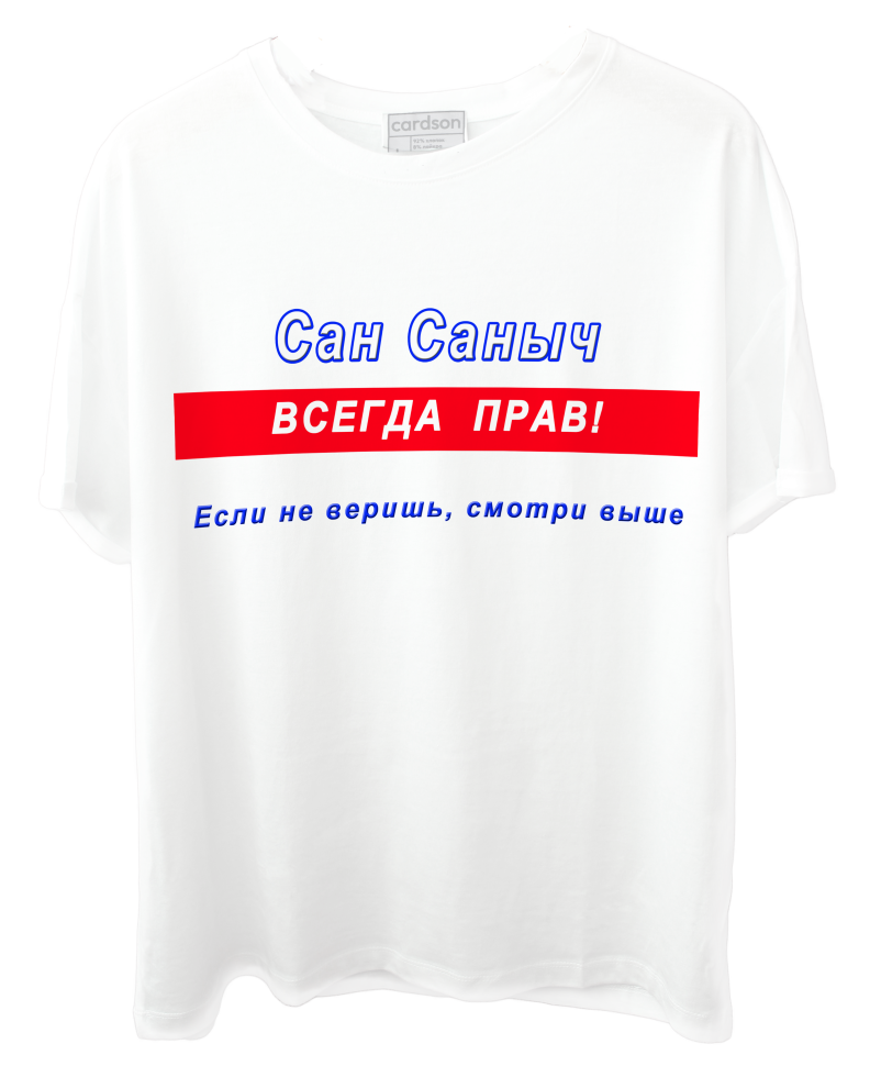 Футболка для мужчин именная Сан Саныч