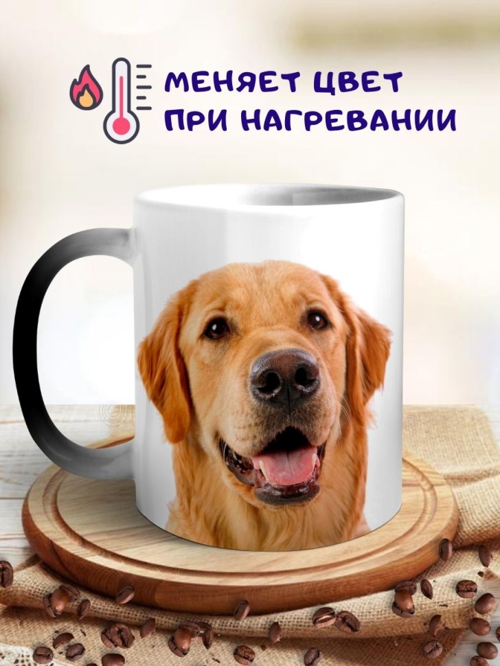 Кружка хамелеон Лабрадор ретривер