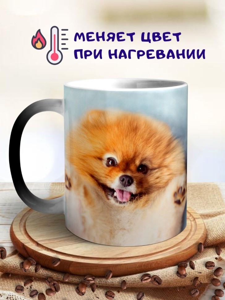 Кружка хамелеон Шпиц