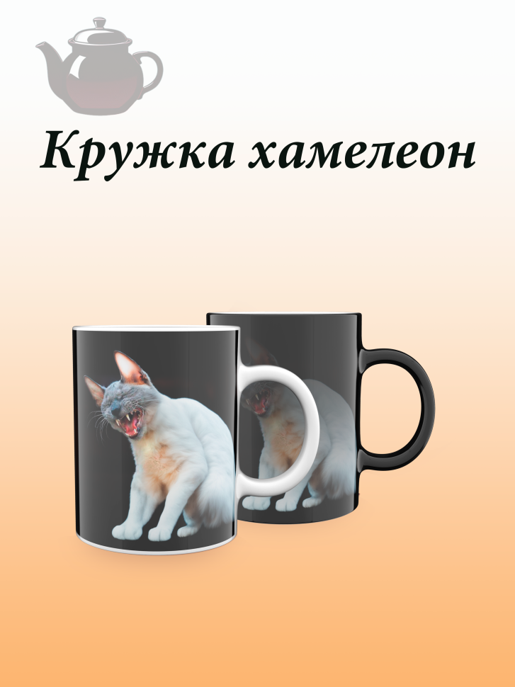Лучшая кружка хамелеон. Лучшая кружка хамелеон.