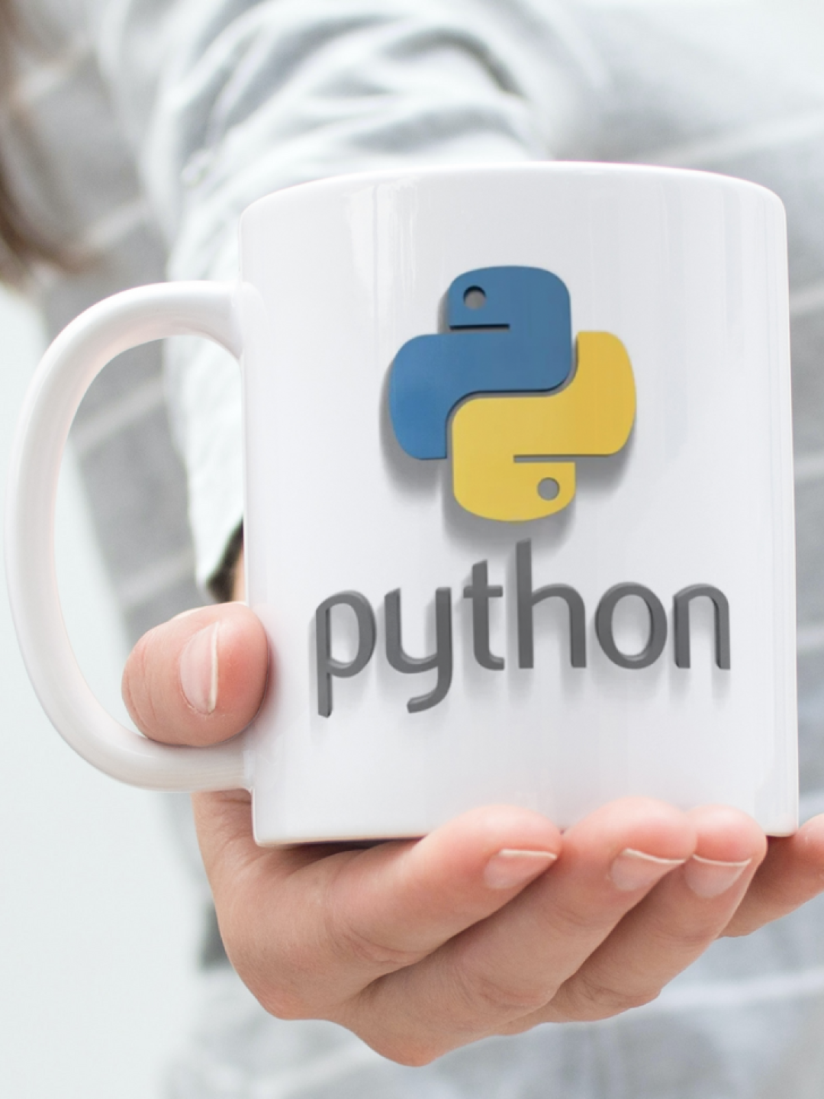 Керамическая кружка в подарок Python разработчику Керамическая кружка в подарок Python разработчику