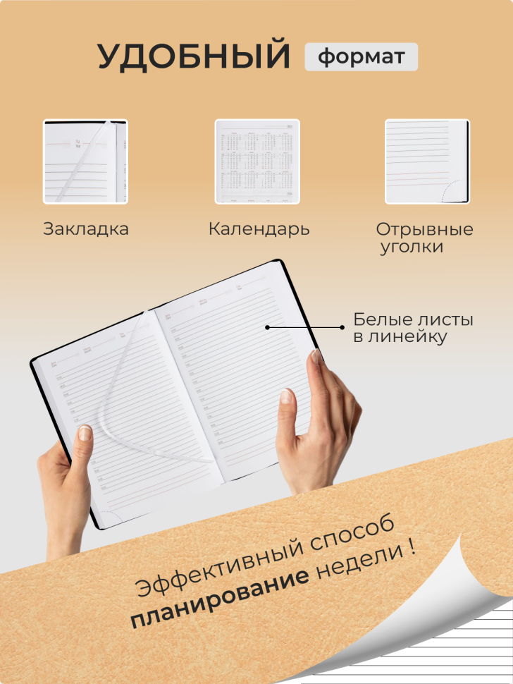 Ежедневник для врача педиатра