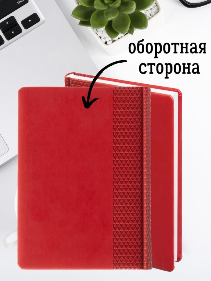 Ежедневник недатированный