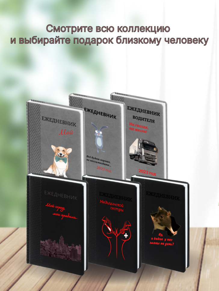Ежедневник недатированный   