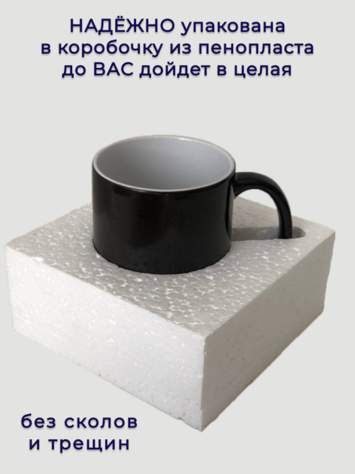 Кружка хамелеон для чая кофе прикольный принт Тараканы Мухи