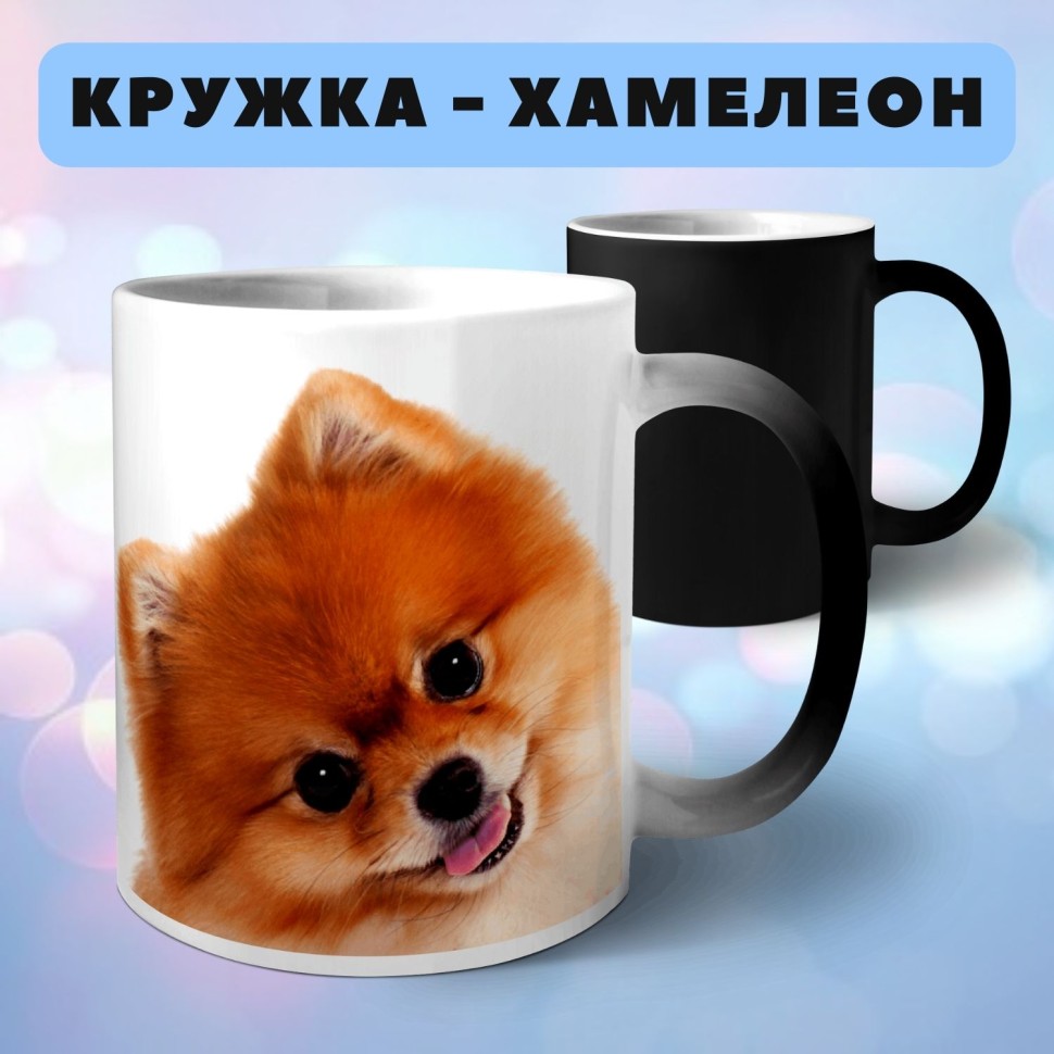 Кружка хамелеон Шпиц