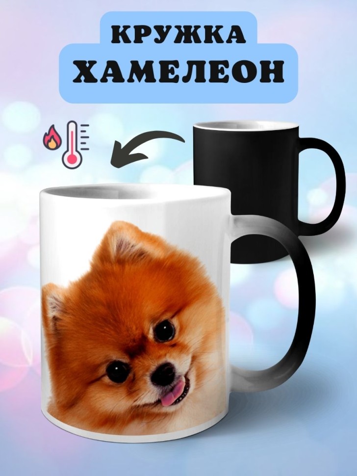 Кружка хамелеон Шпиц