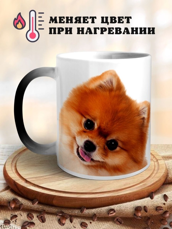 Кружка хамелеон Шпиц