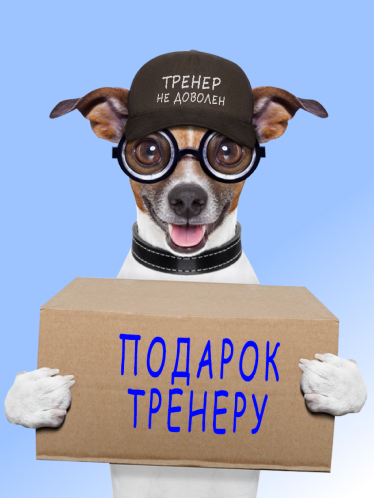Бейсболка мужская Кепка женская бейсболка с Днем тренера