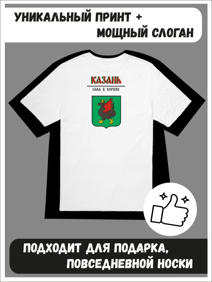 Футболка оверсайз с гербом Казань 1