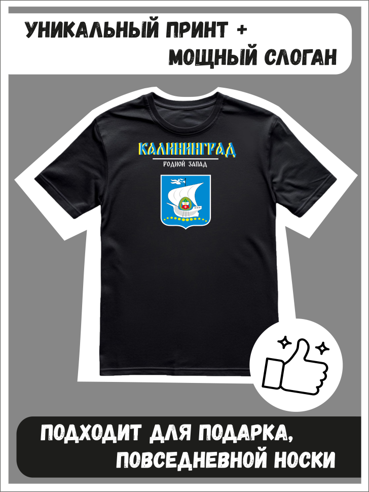 Футболка оверсайз с гербом Калининград 2