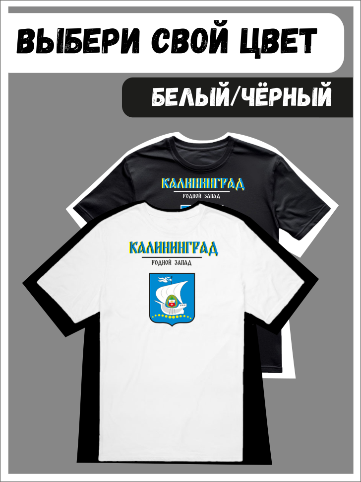 Футболка оверсайз с гербом Калининград 2