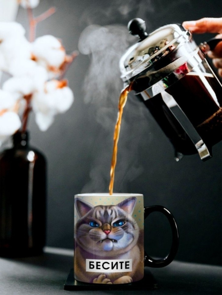 Кружка хамелеон керамическая с принтом Бесите кот