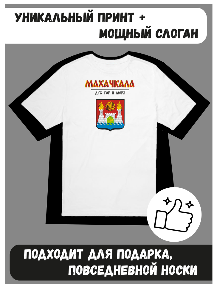 Футболка оверсайз с гербом Махачкала 1