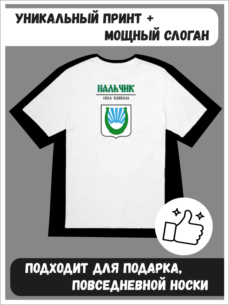 Футболка оверсайз с гербом Нальчик 1