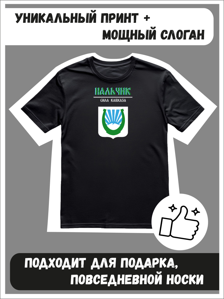 Футболка оверсайз с гербом Нальчик 2