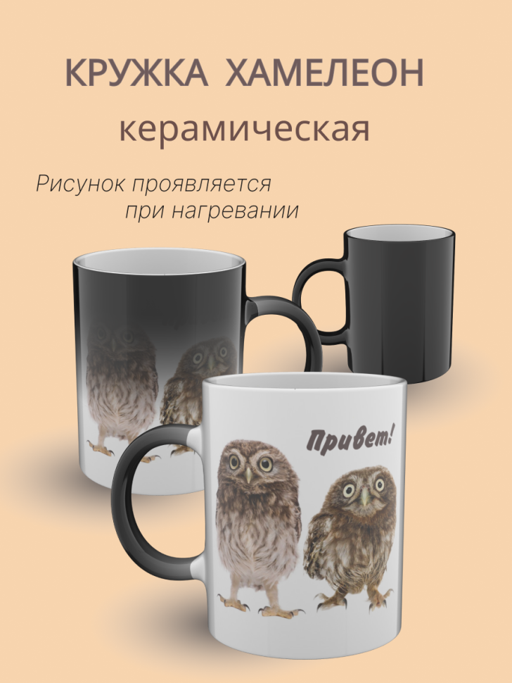 Кружка хамелеон керамическая с принтом Совы