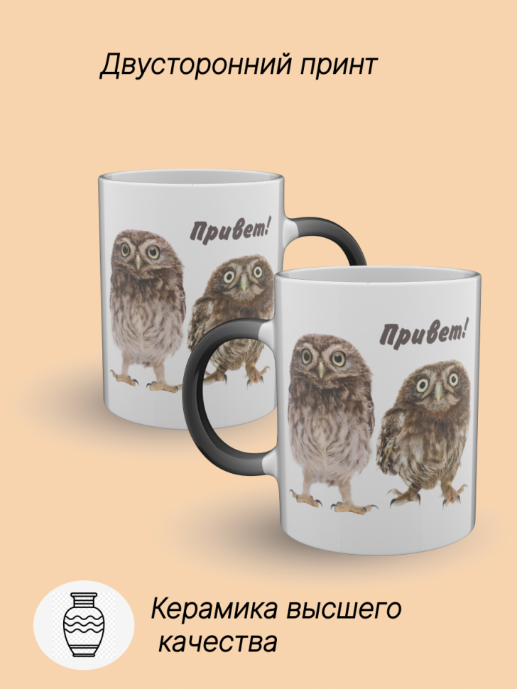Кружка хамелеон керамическая с принтом Совы