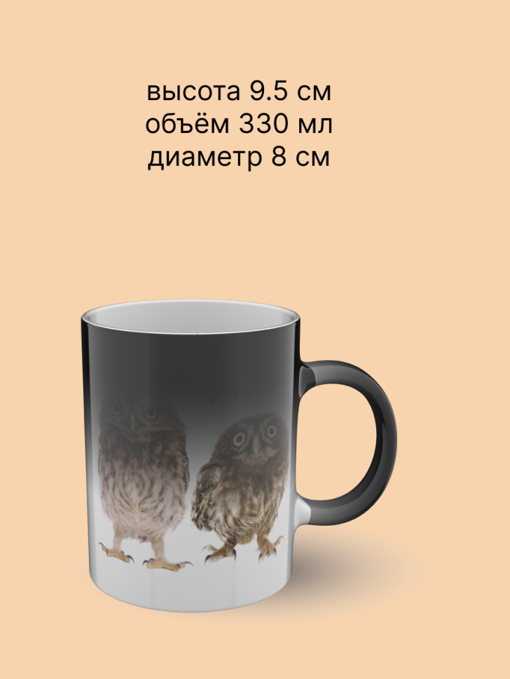 Кружка хамелеон керамическая с принтом Совы