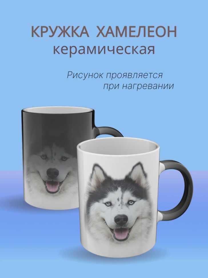 Кружка хамелеон керамическая для чая с принтом, Svipik