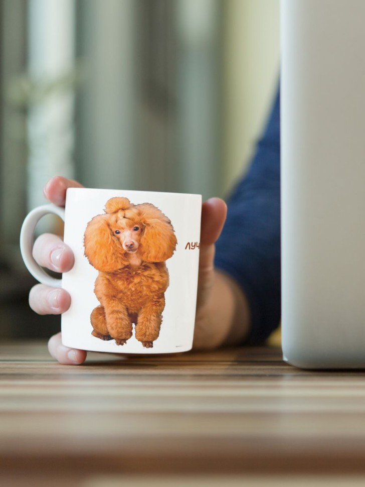 Кружка керамическая  "Собака пудель" 330 мл 1 шт