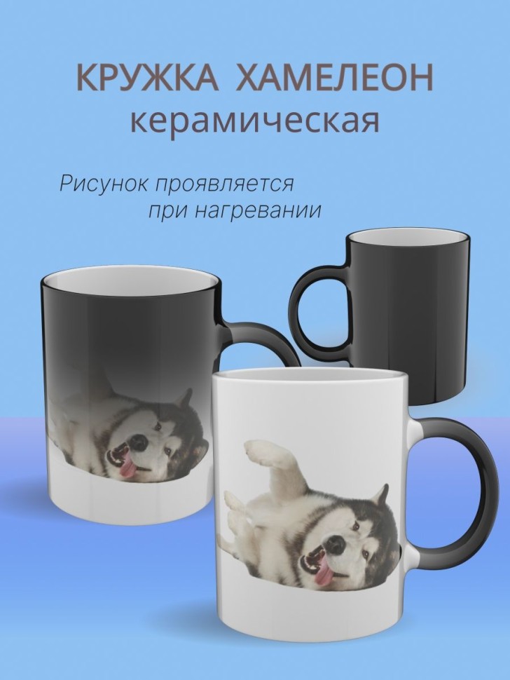 Кружка хамелеон керамическая большая для чая с принтом Хаски
