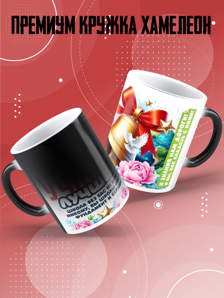 Кружка хамелеон с принтом учителю в подарок Кружка хамелеон с принтом учителю в подарок