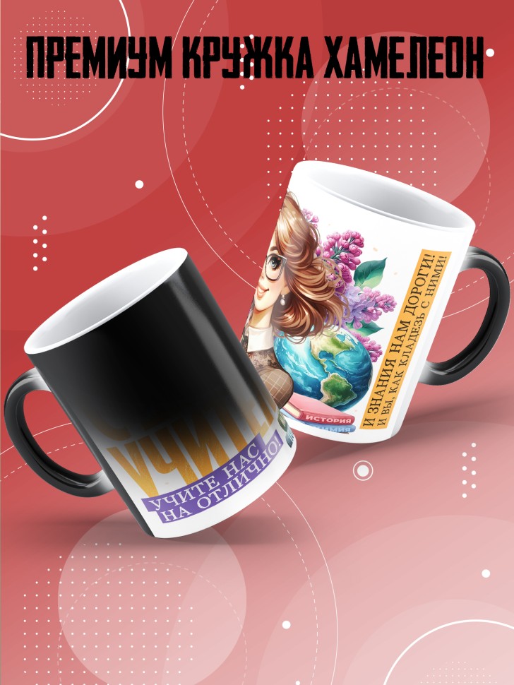 Кружка хамелеон с принтом учителю в подарок Кружка хамелеон с принтом учителю в подарок