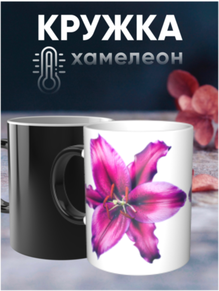 Кружка хамелеон подарок  цветы Лилия 