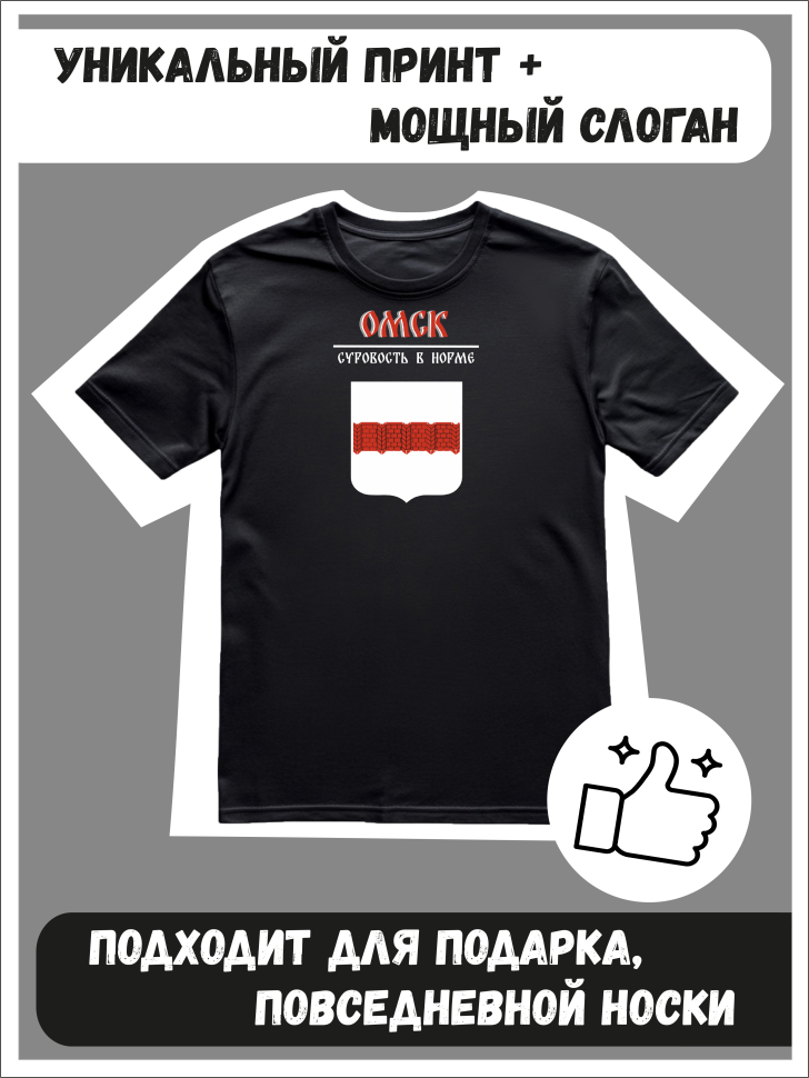 Футболка оверсайз с гербом Омск 2 Футболка оверсайз с гербом Омск 2