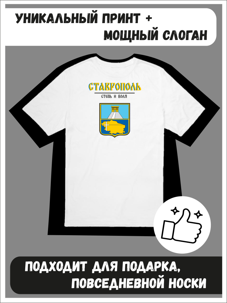 Футболка оверсайз с гербом Ставрополь 1