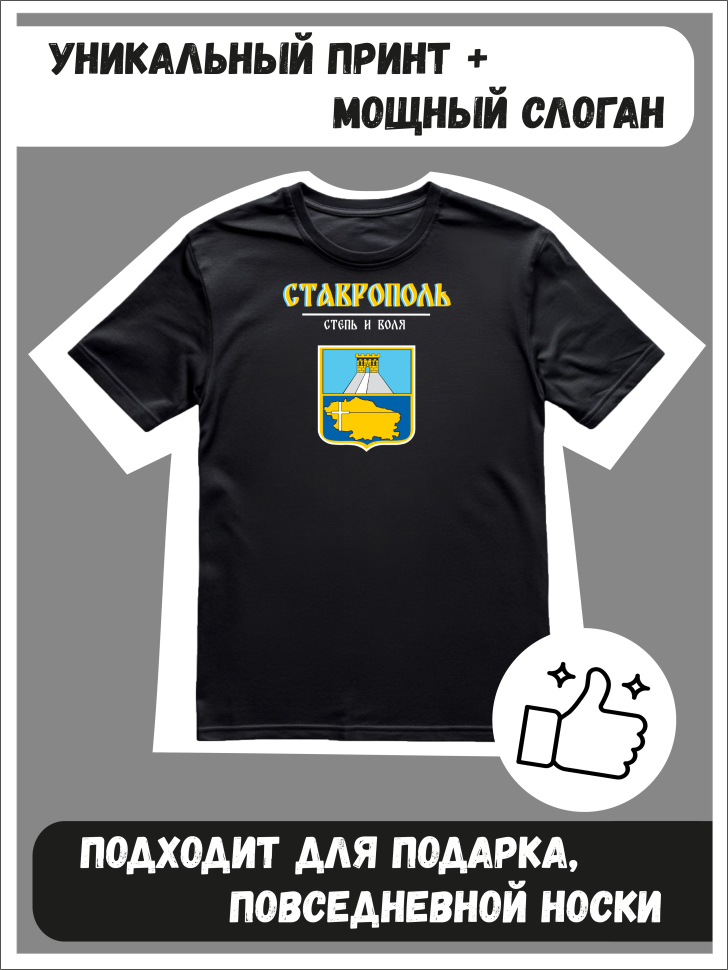 Футболка оверсайз с гербом Ставрополь 2