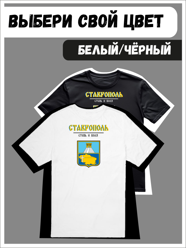 Футболка оверсайз с гербом Ставрополь 2