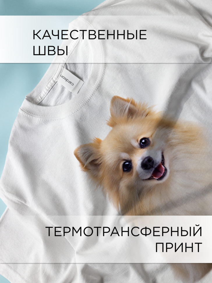 Футболка оверсайз с принтом Шпиц белая Футболка оверсайз с принтом Шпиц белая
