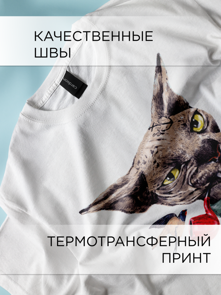 Футболка оверсайз универсальная с принтом Котяра