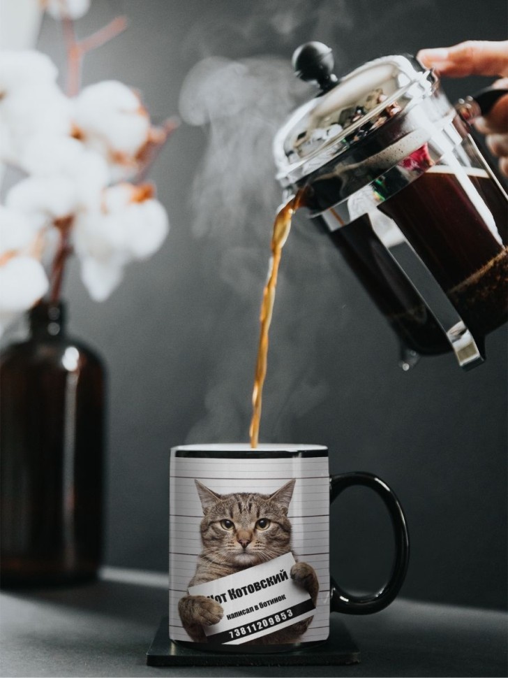 Кружка хамелеон Кот заключенный чашка вау меняет цвет