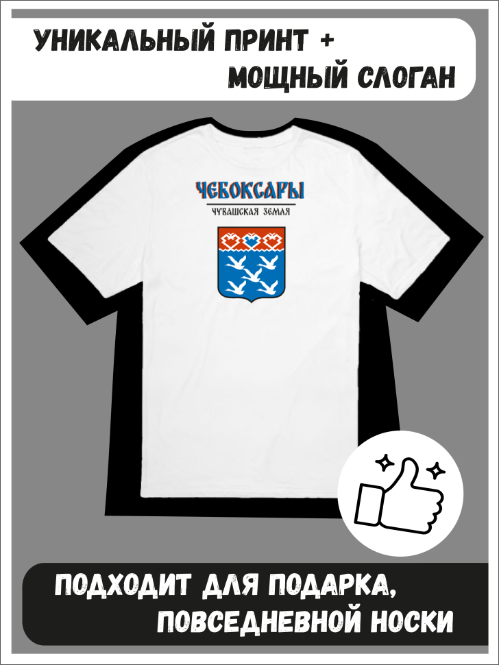 Футболка оверсайз с гербом Чебоксары 1
