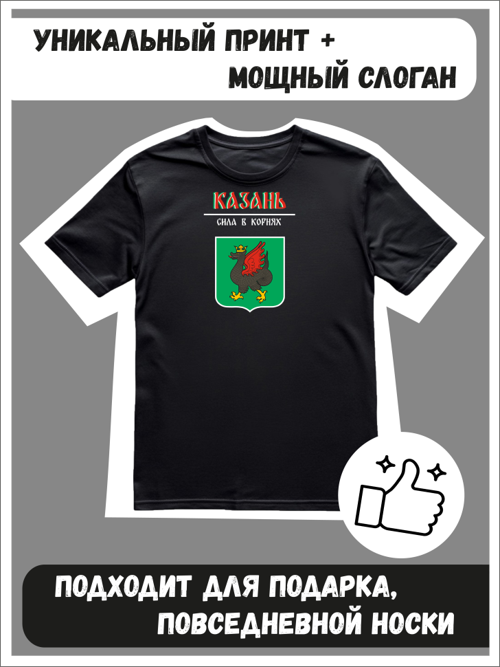 Футболка оверсайз с гербом Казань 2
