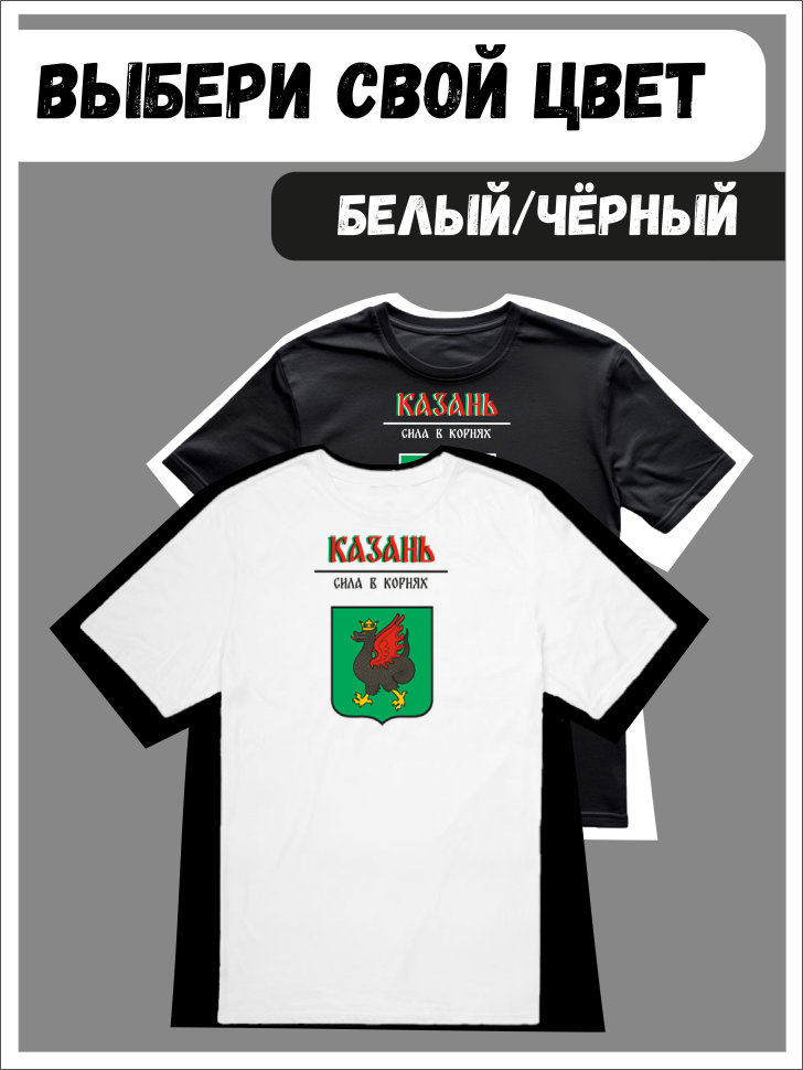 Футболка оверсайз с гербом Казань 2