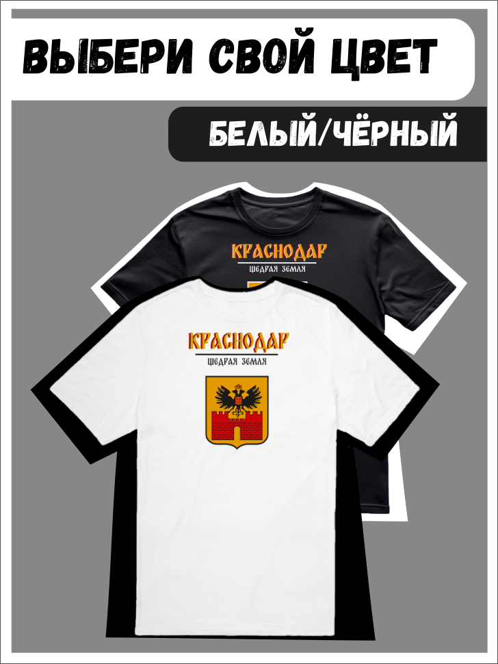 Футболка оверсайз с гербом Краснодар 2