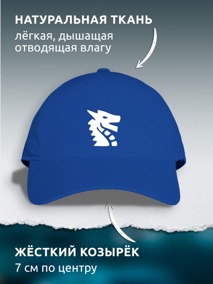 Бейсболка кепка синяя унисекс с принтом Дракон Бейсболка кепка синяя унисекс с принтом Дракон